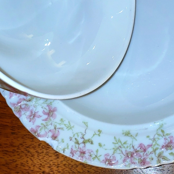 1868-1898 Limoges Butter Dish. - Picture 10 of 10